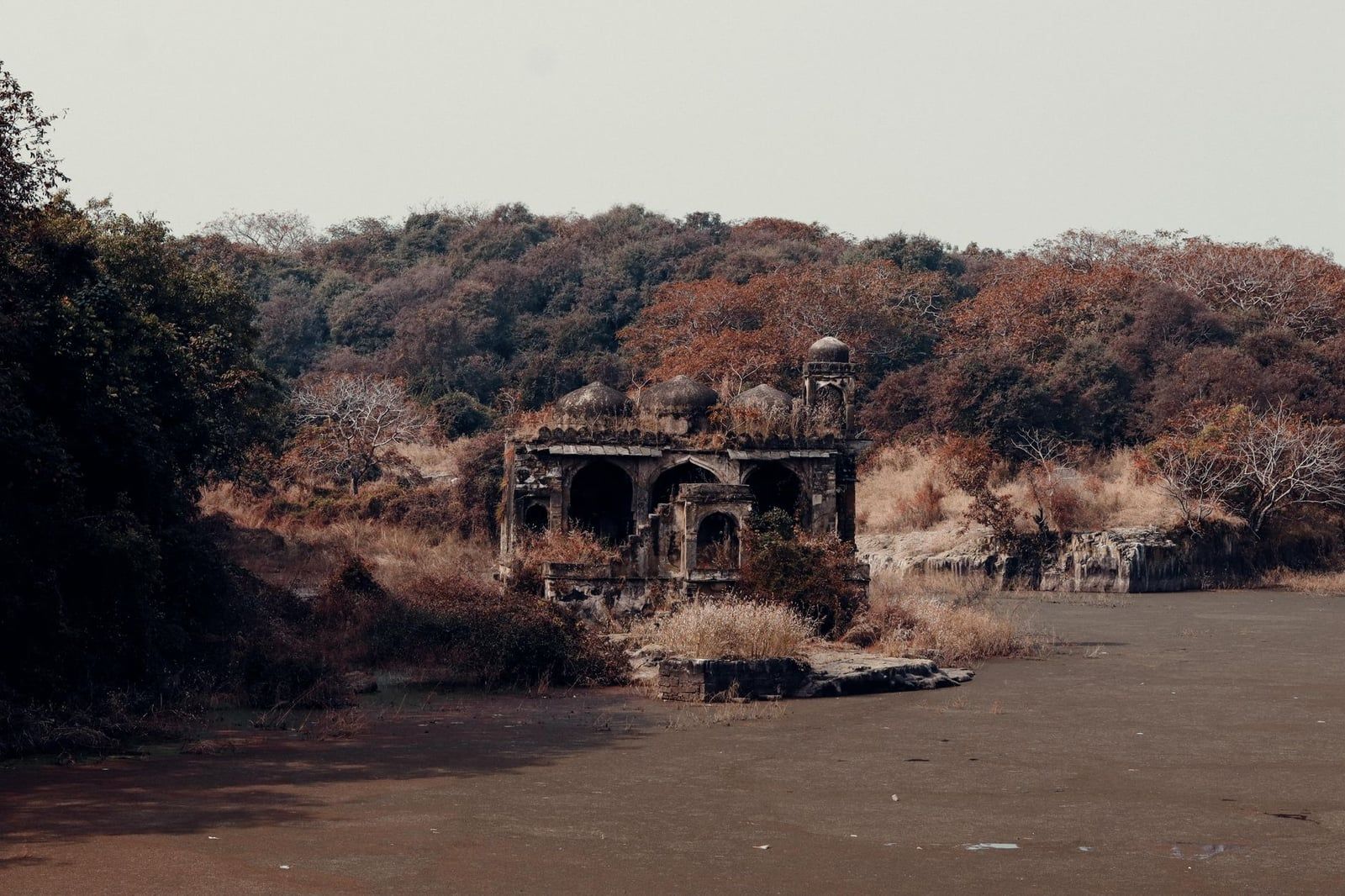 Pabellón de piedra en ruinas rodeado de agua y colinas boscosas en el lago Rajbagh del Parque Nacional Ranthambore.