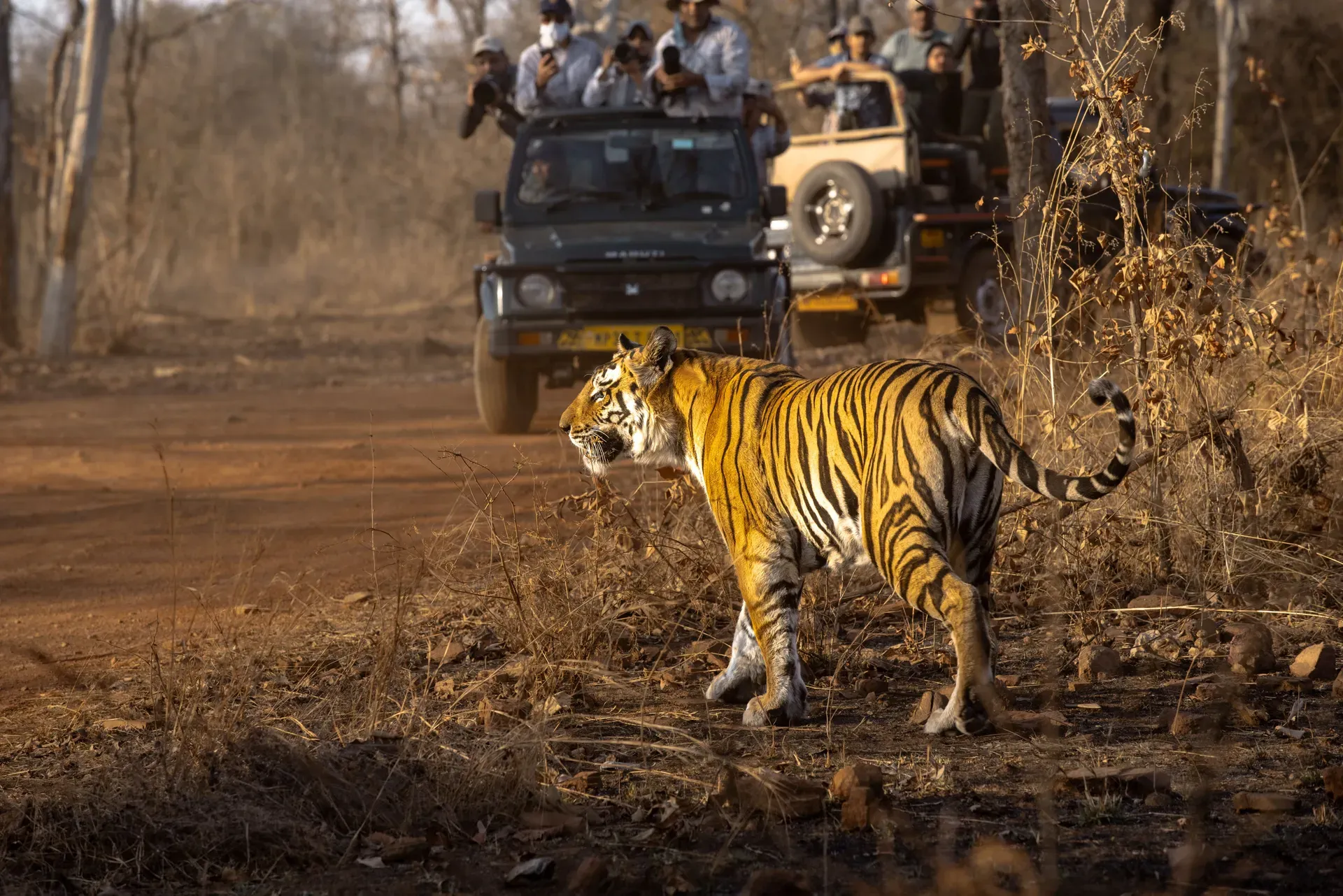 Ranthambore-Nationalpark