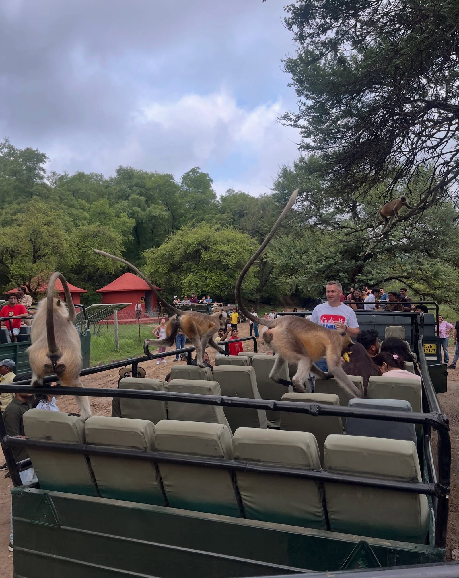 Ranthambore National Park tour visitor photo