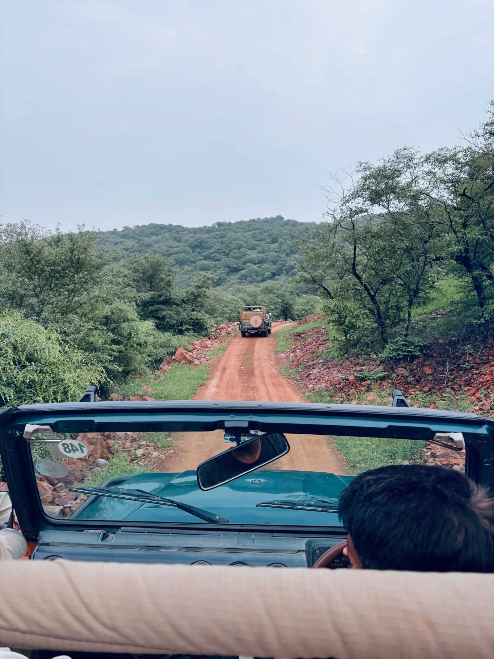 Ranthambore National Park tour visitor photo