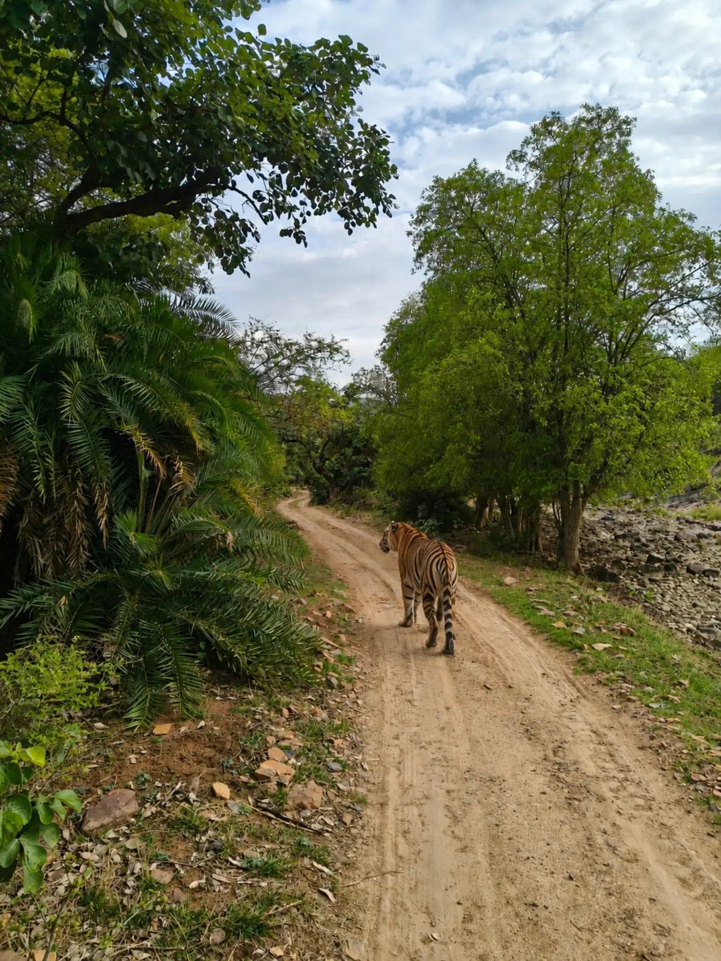 Ranthambore National Park tour visitor photo