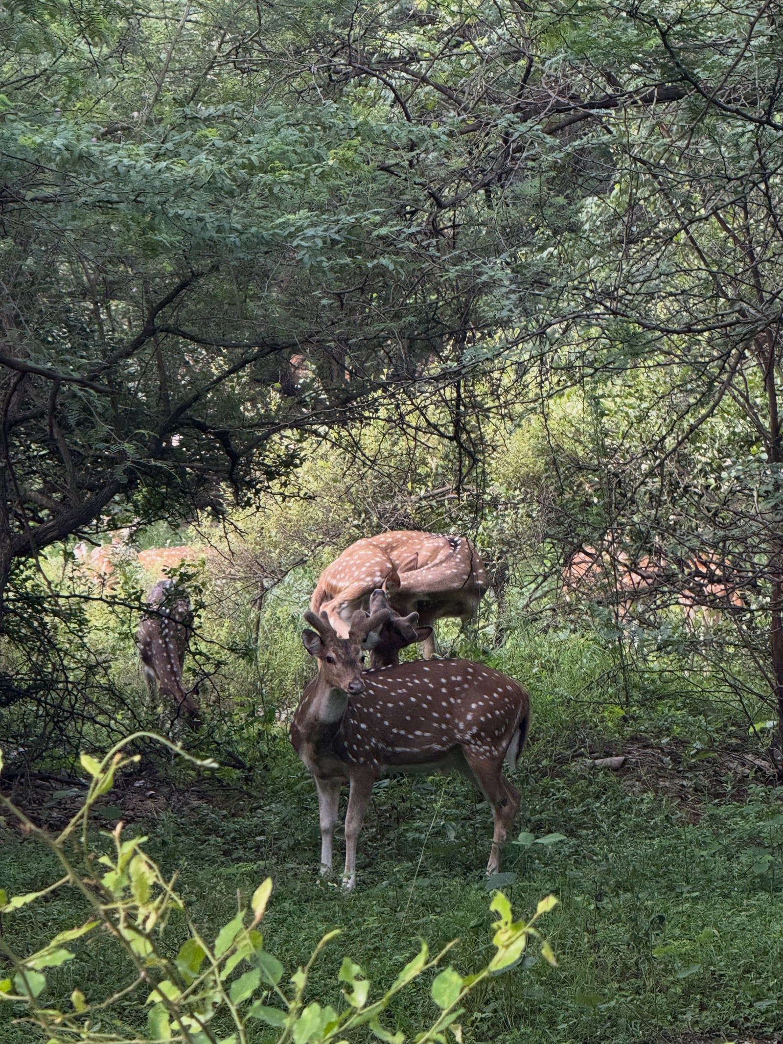 Ranthambore National Park tour visitor photo